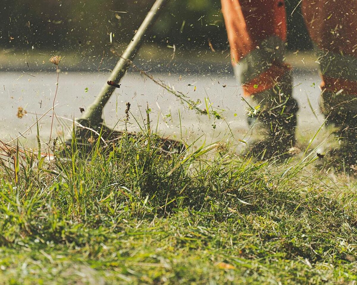 Ein Rasentrimmer in nutzung.